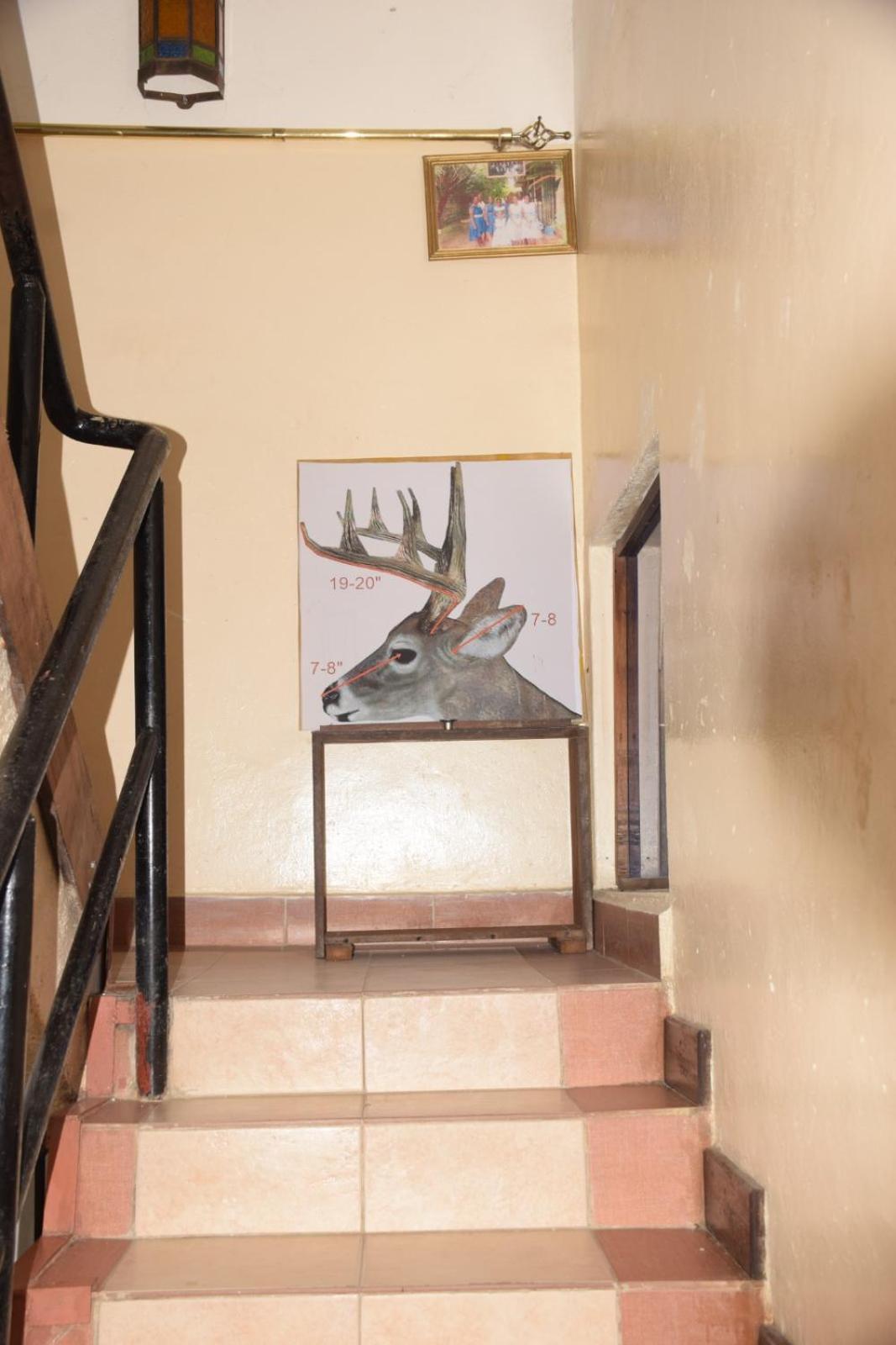 Cingaki Hotel Mombasa Zewnętrze zdjęcie
