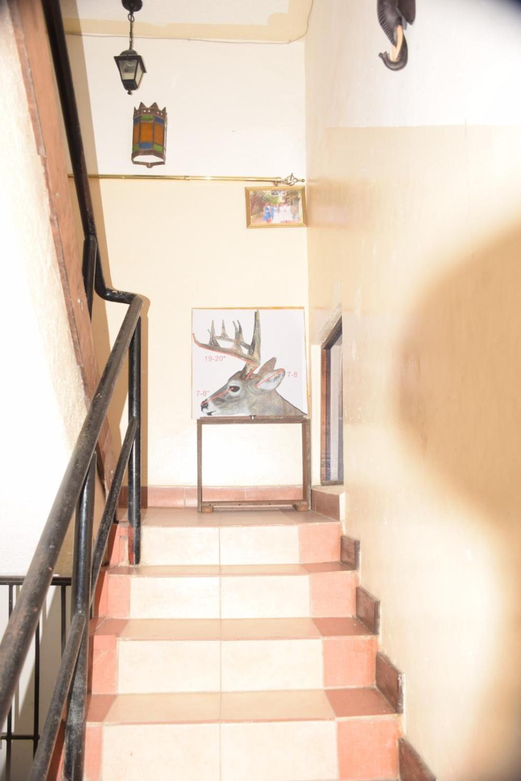 Cingaki Hotel Mombasa Zewnętrze zdjęcie